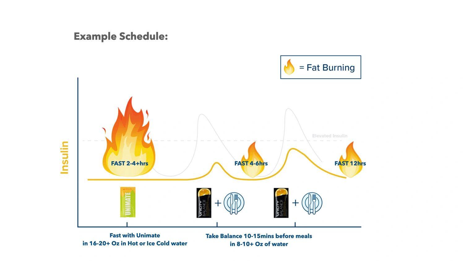 Example schedule showing insulin levels and fat burning periods