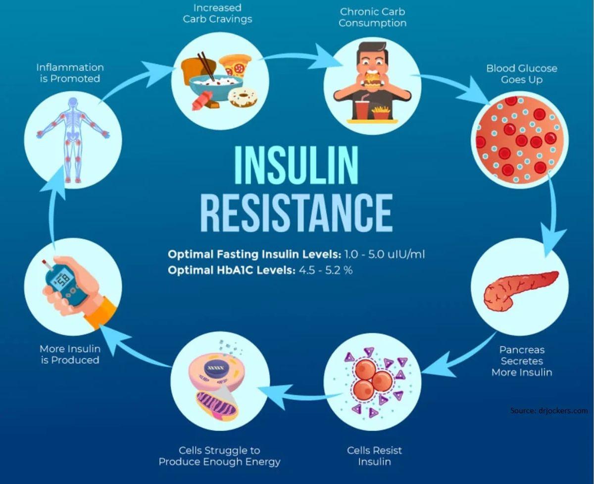 Insulin resistance compared with a healthy insulin response